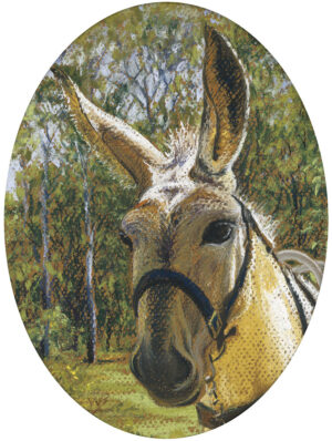 “The Donkey Series: Charlie”